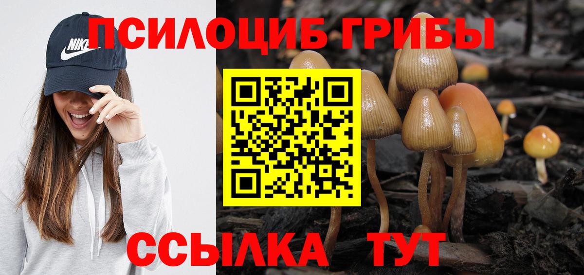 Междуреченск  Галлюциногенные грибы GOLDEN TEACHER  Вход с VPN 