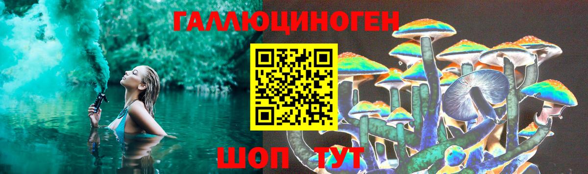 Галлюциногенные грибы мухоморы Междуреченск